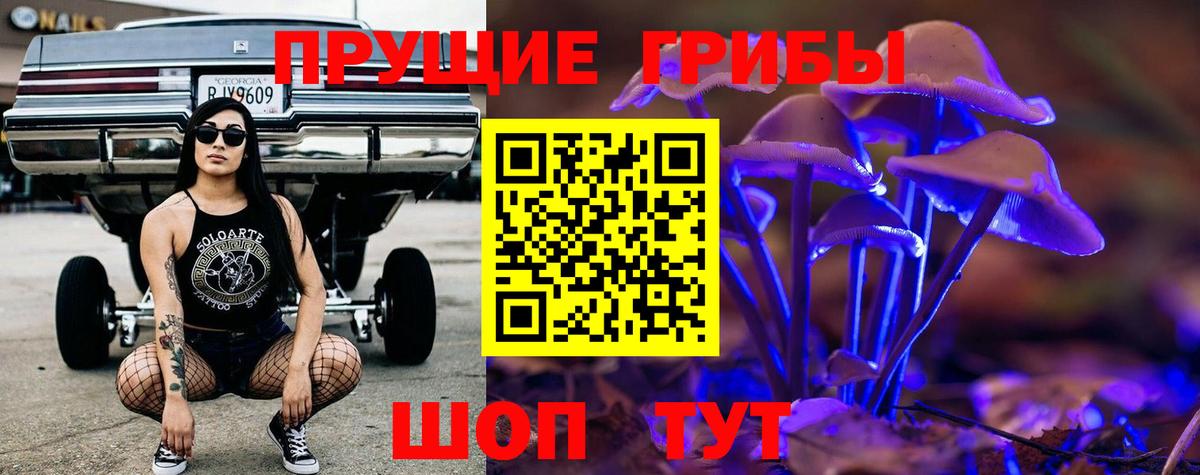 Галлюциногенные грибы Magic Shrooms Северск